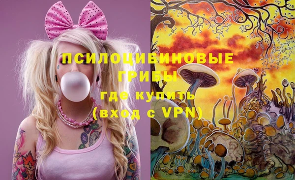 ПСИЛОЦИБИНОВЫЕ ГРИБЫ Елизово