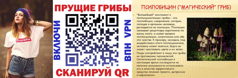 Псилоцибиновые грибы прущие грибы  Рыбинск 